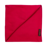 Crimson Handmade Upcycled Silk Sari Napkin
